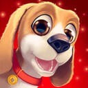 用了布谷加速器无法进入公司内网